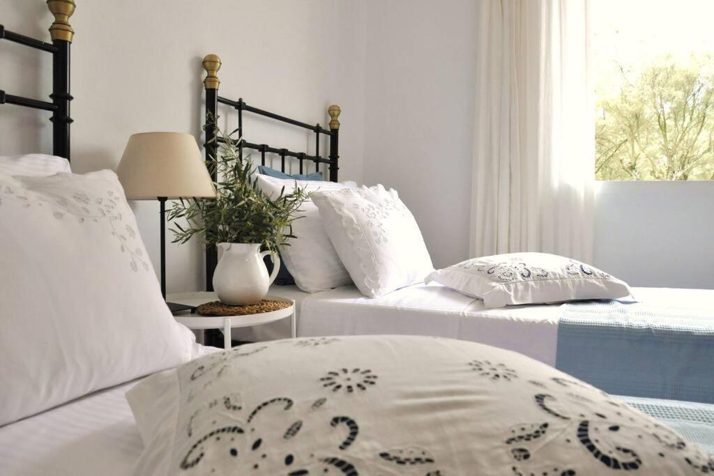 Villa Erietta Near Lefkas Center Apolpaina ภายนอก รูปภาพ