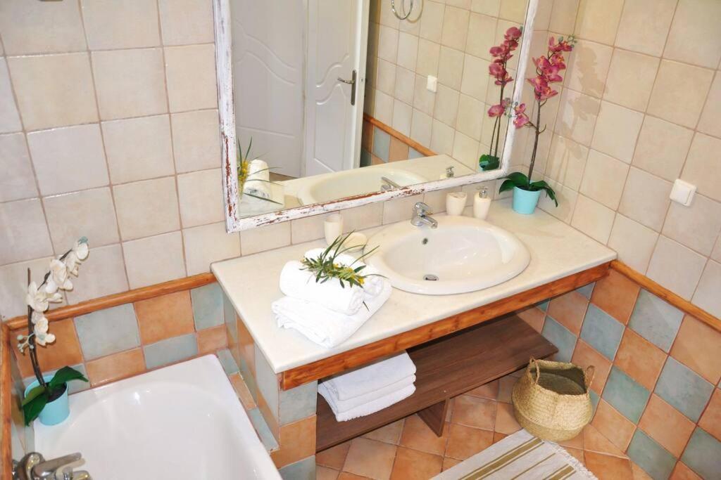 Villa Erietta Near Lefkas Center Apolpaina ภายนอก รูปภาพ