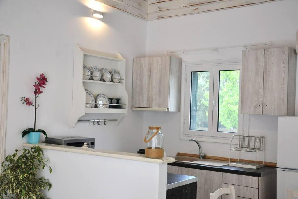 Villa Erietta Near Lefkas Center Apolpaina ภายนอก รูปภาพ